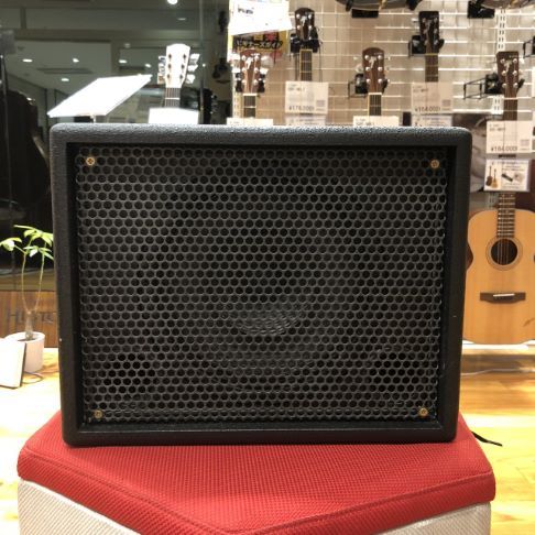 AER Compact 60 2 アコースティックギター アンプよろしくお願いします