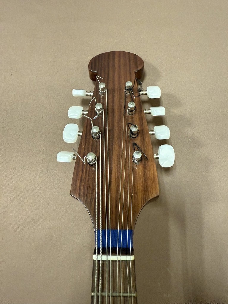 CALACE CALACE MANDOLIN No.26M マンドリン カラーチェ（新品