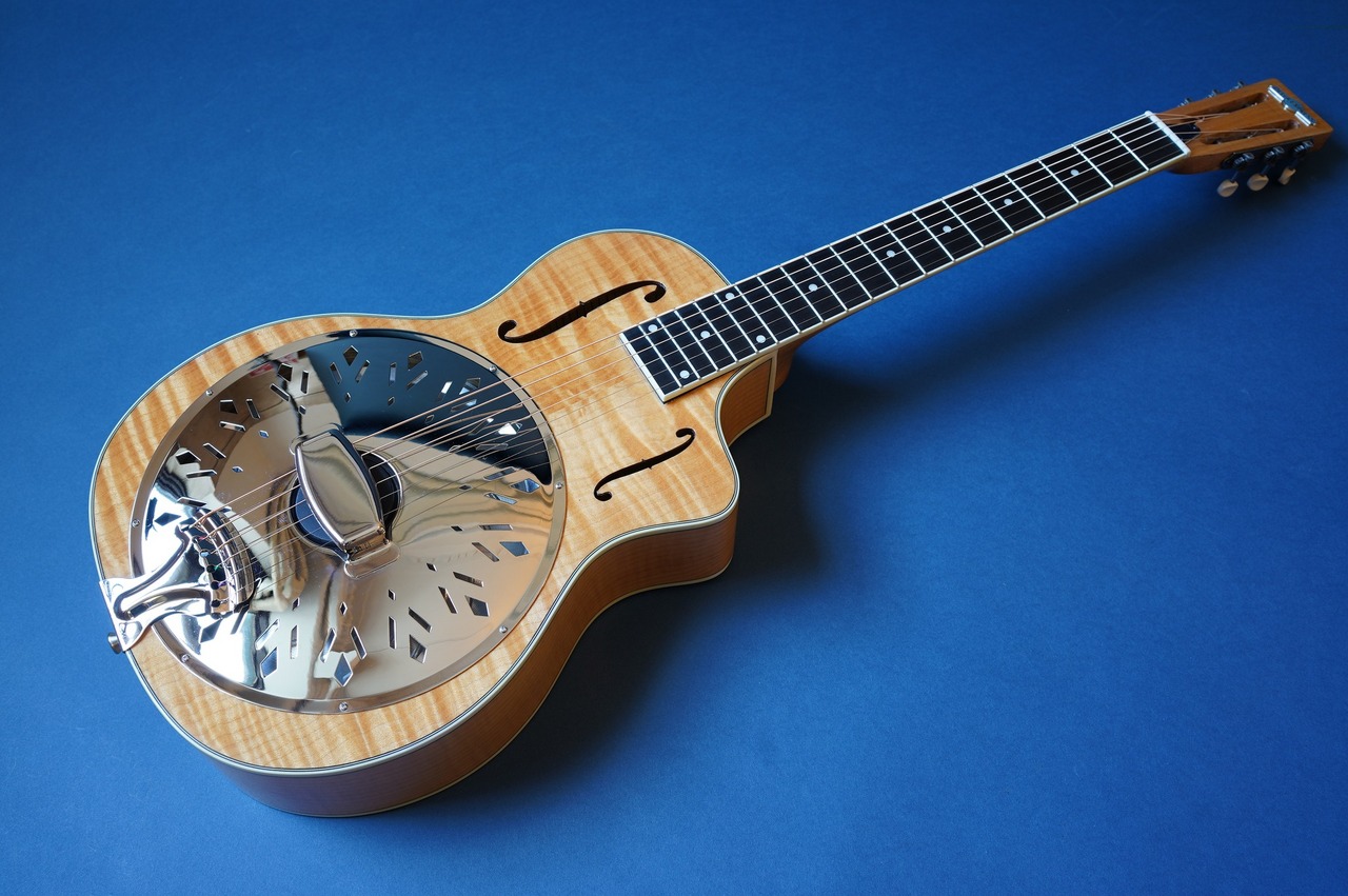 Delta Express TG-Cutaway （新品）【楽器検索デジマート】