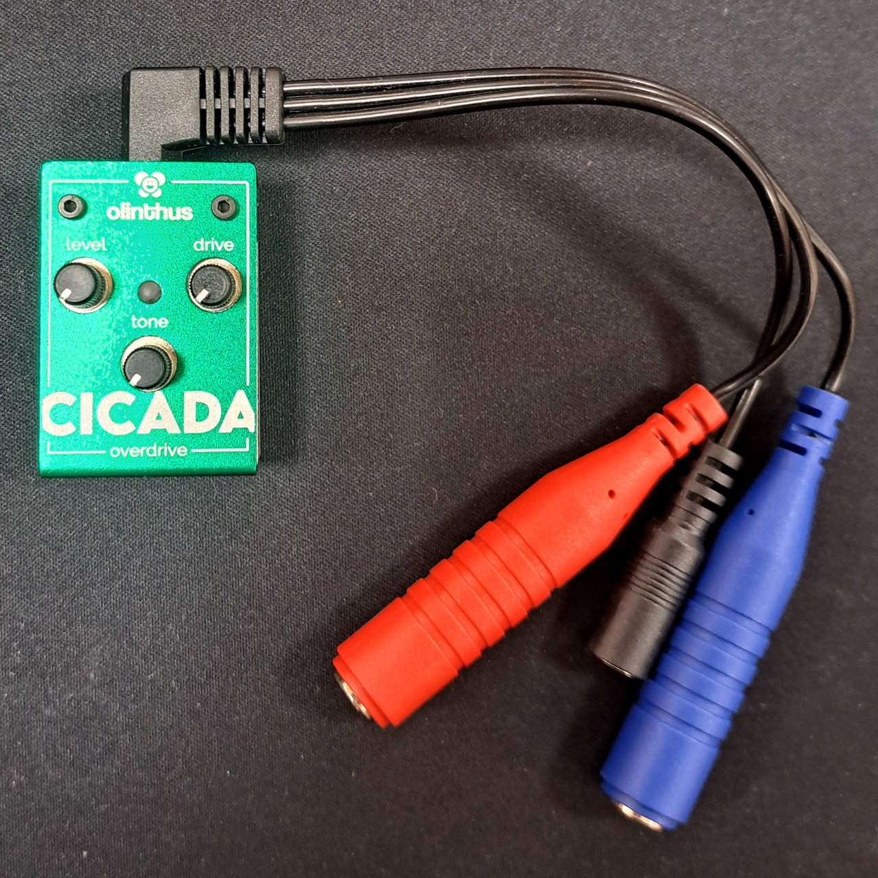 Olinthus 【ミニチュアサイズ】CICADA【TS系オーバードライブ】（新品