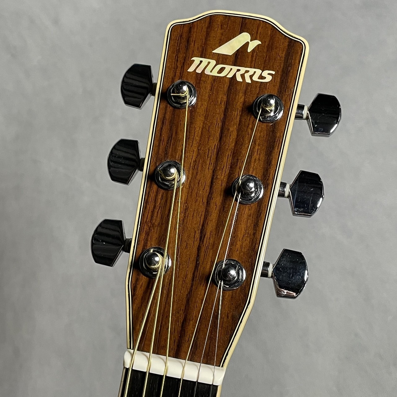 【美品】MORRISモーリス Rumbler　MR603 エレアコ Morris/モーリス MR603 エレアコ