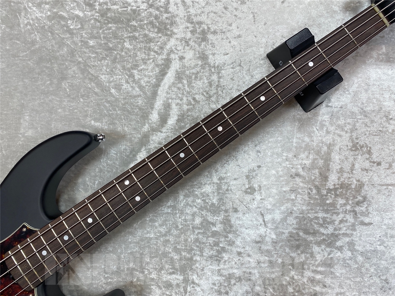 ESP AMAZE-AL【COLOR ORDER】（新品/送料無料）【楽器検索デジマート】