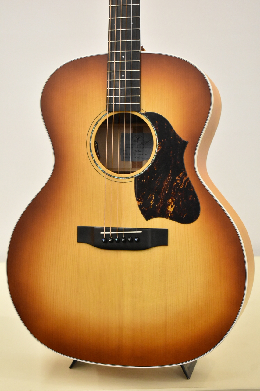 VINCENT 【クロサワ横浜店】【艶消し仕上げ】【ピックアップ搭載】VL-5