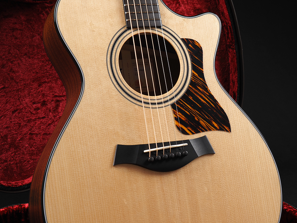 Taylor 312ce V-Class（新品/送料無料）【楽器検索デジマート】