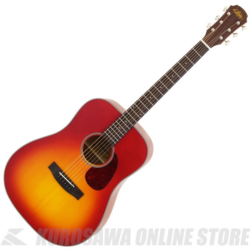 最先端 ARIA [アコースティックギター]（新品/送料無料 MTCS Aria-111 ギター