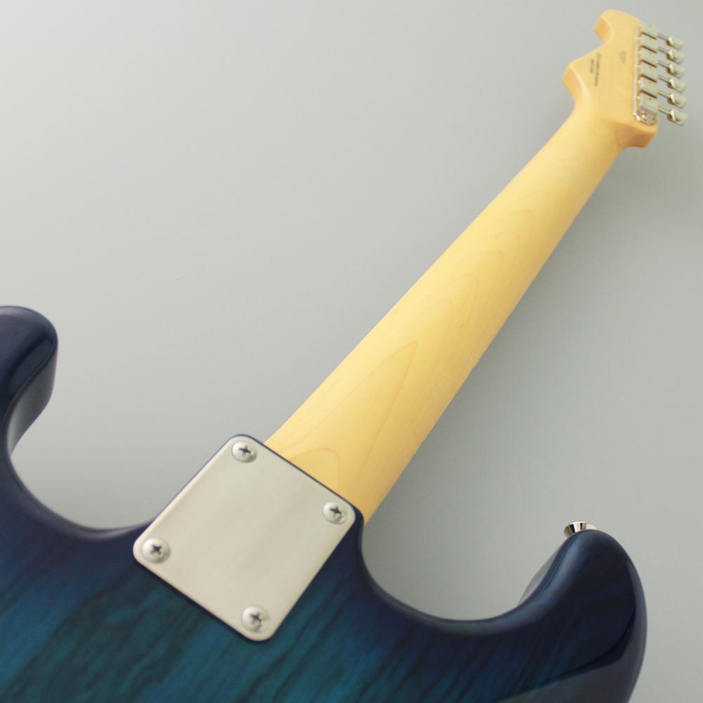 FUJIGEN(FGN) Neo Classic NST NST110MAH-SBB (See-Thru Blue