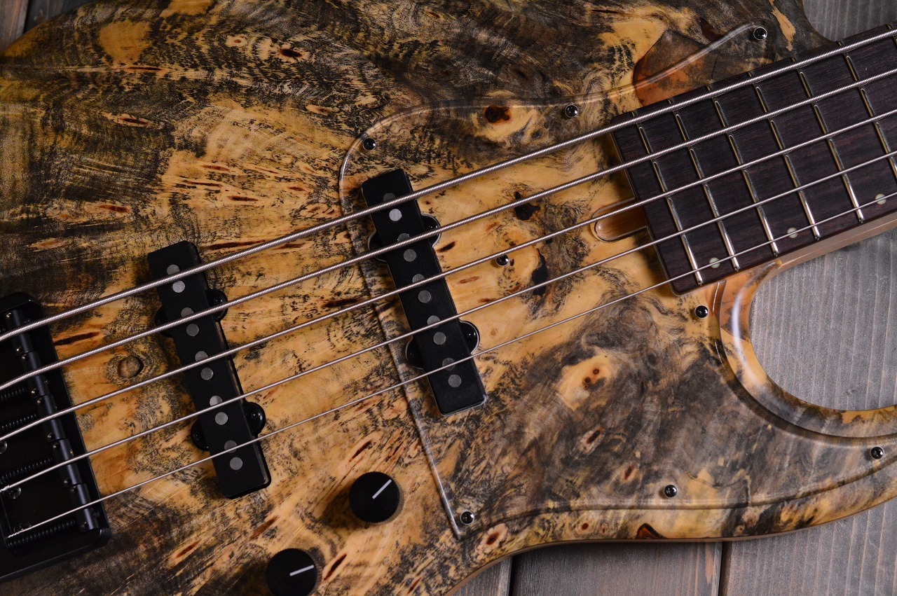 Wood Custom Guitars Vibe-5 19 Picth Buckeye Burl Top（新品/送料