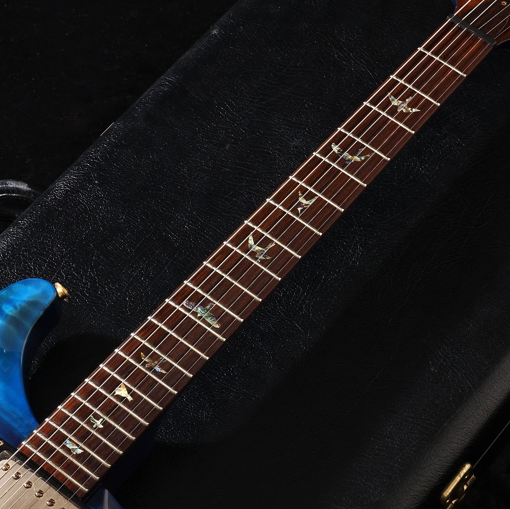 Paul Reed Smith(PRS) 2004 Custom 22 Artist Package Royal Blue Wide