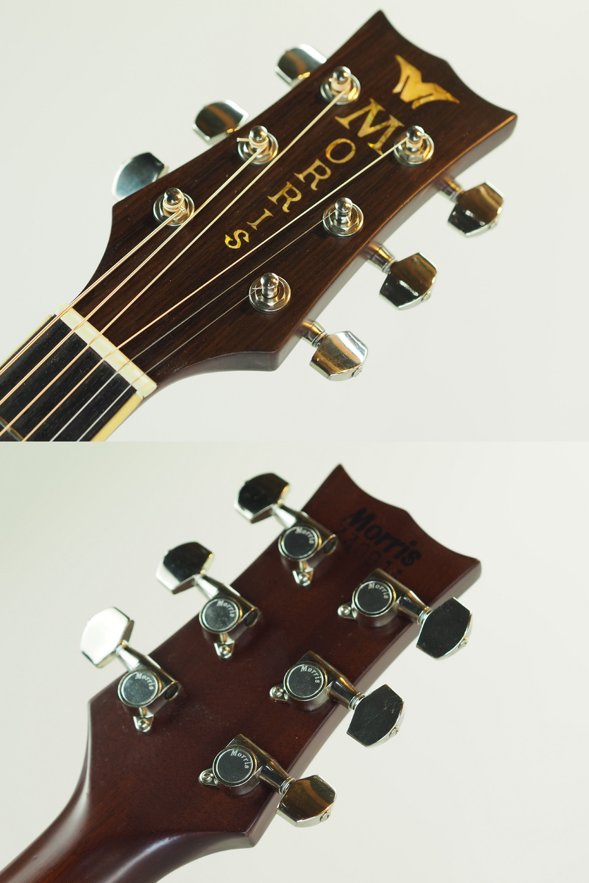 Morris MG-600J(管理番号4985)（中古）【楽器検索デジマート】