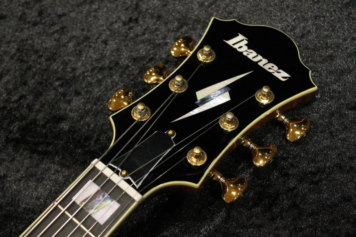 Ibanez PM200 / パットメセニー シグネチャーモデル（新品/送料無料