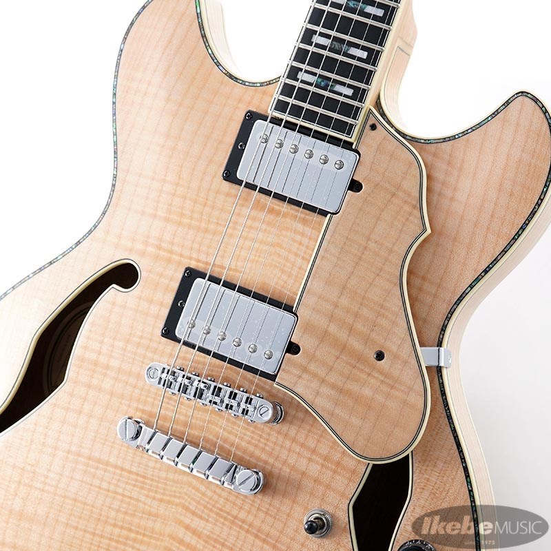 Ibanez ARTSTAR ASV113-RNT 【特価】（新品特価）【楽器検索デジマート】