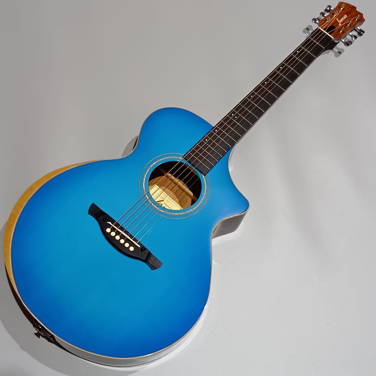 James Havens アコースティックギター James Havens アコースティックギター