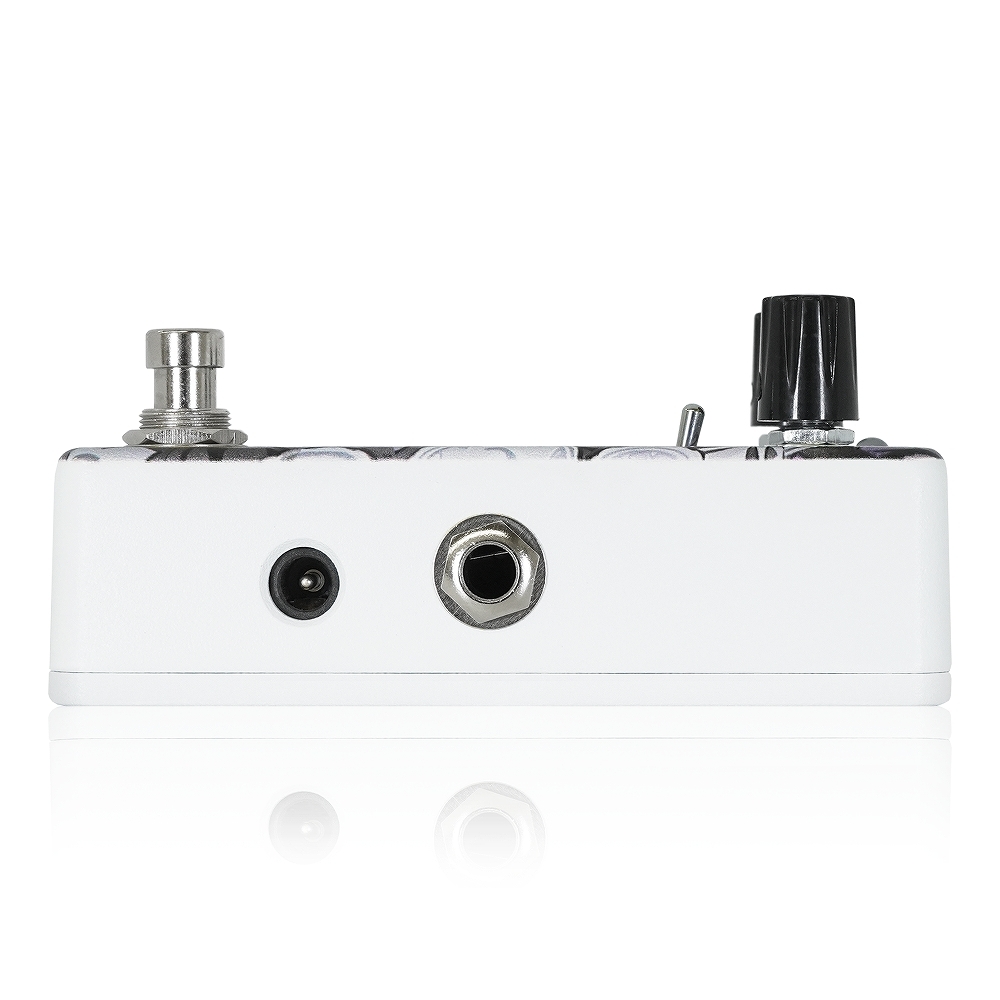 Animals Pedal Custom Illustrated / DSMIIF ちゃっぴー #01