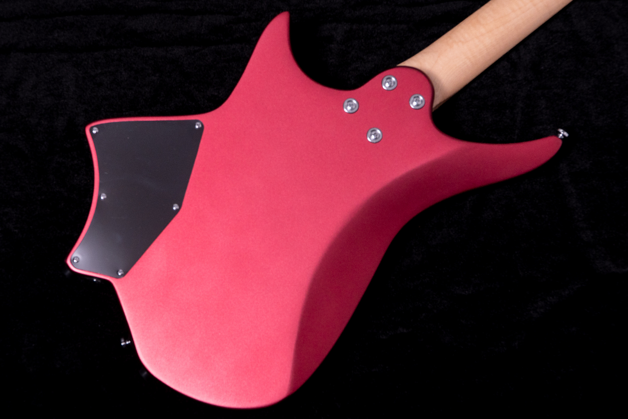 HEX Guitars NS100R S/RR（新品/送料無料）【楽器検索デジマート】