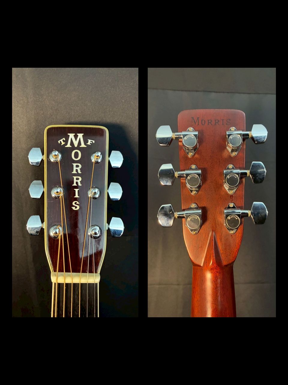 Morris special W-50（中古）【楽器検索デジマート】