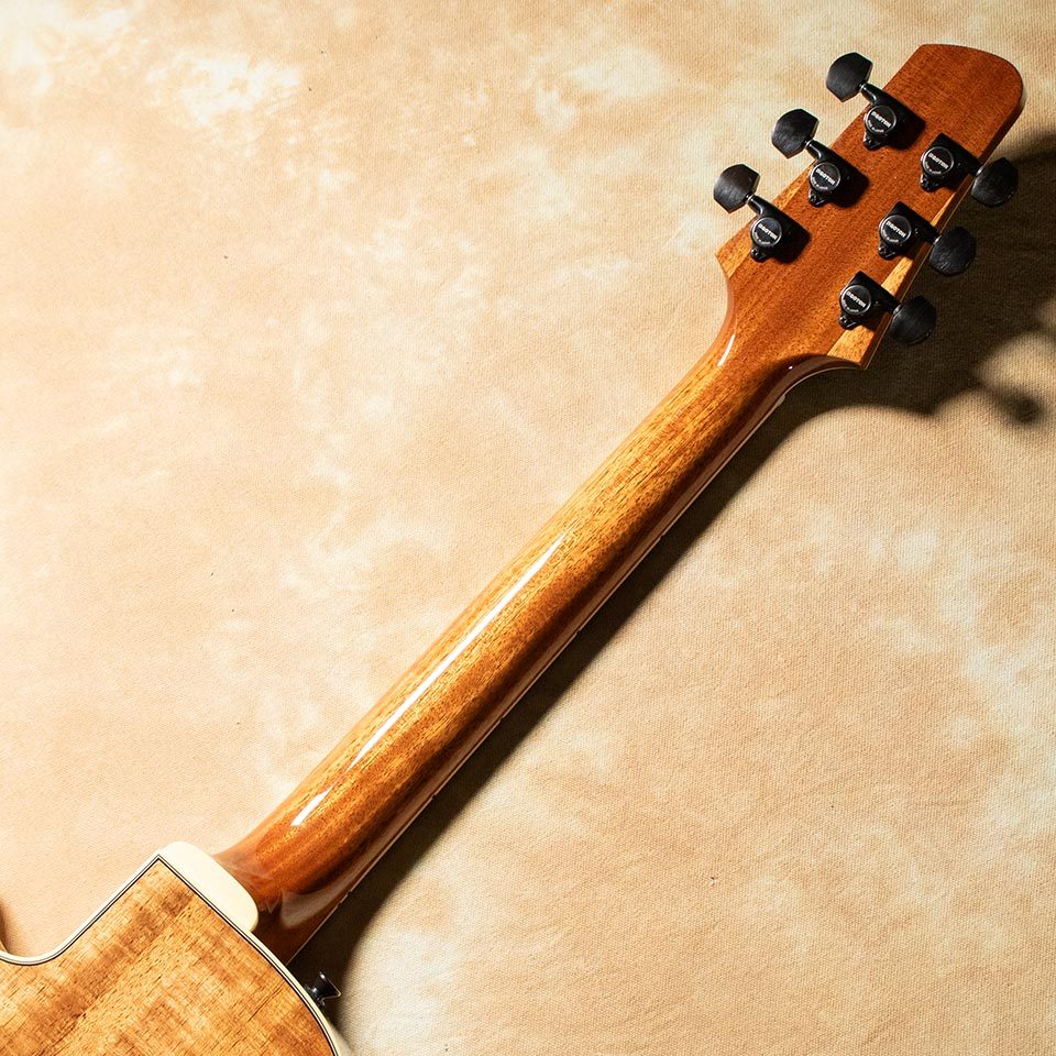 Kikuchi Guitars Archtop JF15 Ltd Exotic Blackwood（新品）【楽器