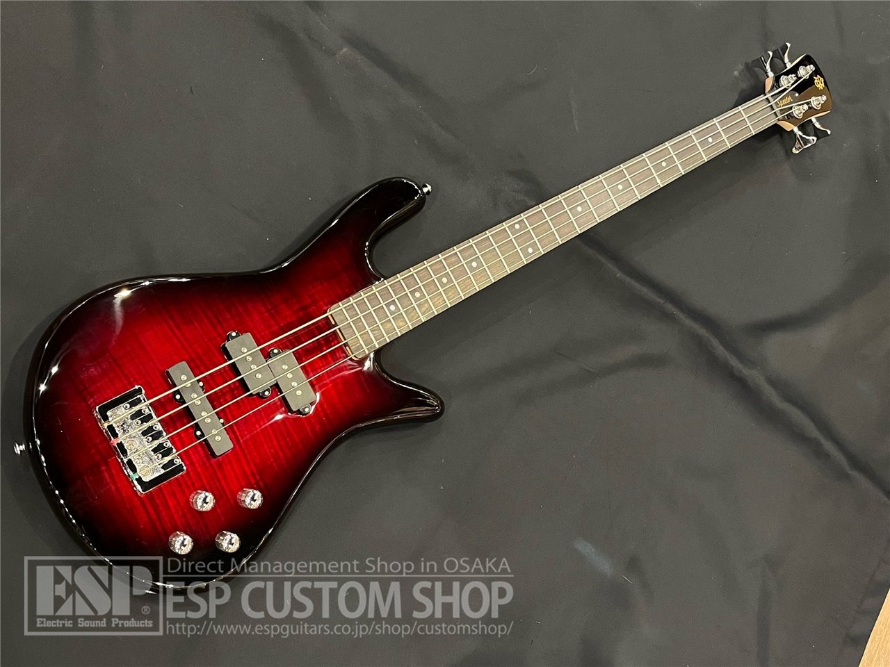 Spector Legend 4 Standard Black Cherry Gloss（新品/送料無料