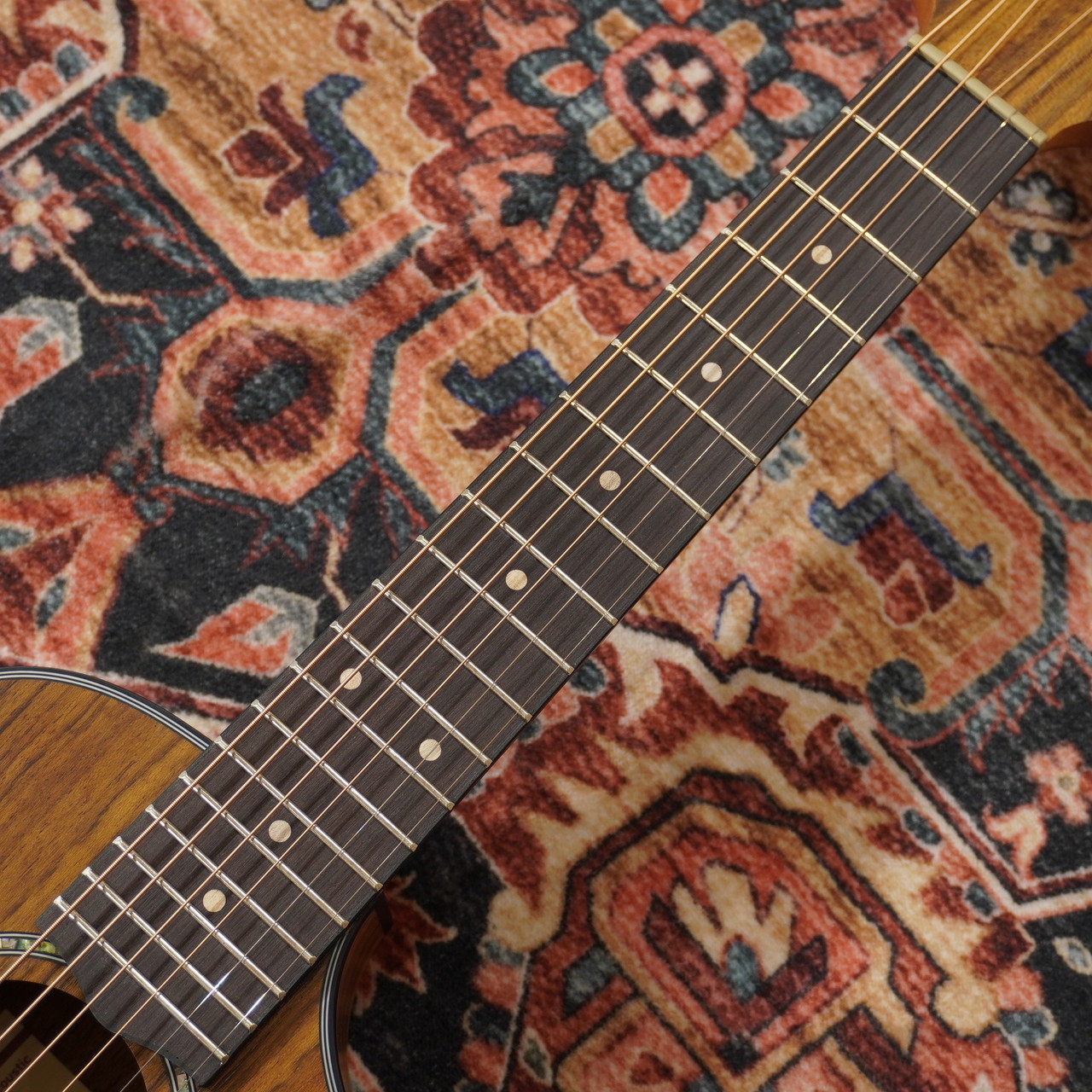 Ibanez EWP14WB-OPN (Open Pore Natural)【WINTER SELECTION特価