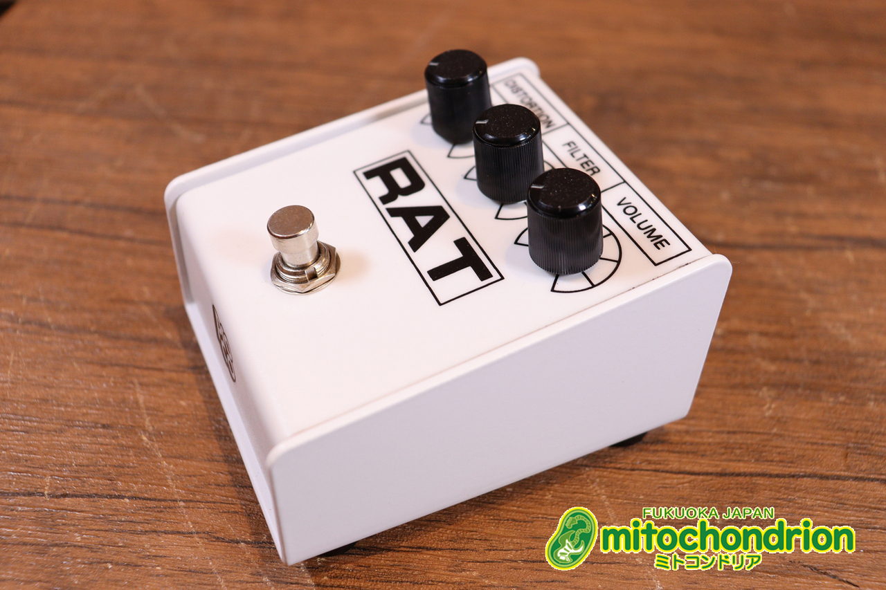 限定！！RAT2 white IKEBE original model Pro-co イケベオリジナル