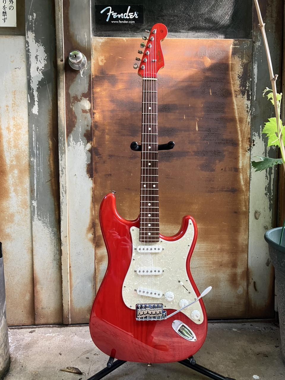 Fender Japan ST62 ASH MH TRR 22フレット 2012（中古）【楽器検索