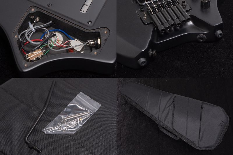 HEX Guitars N500P Black（新品/送料無料）【楽器検索デジマート】