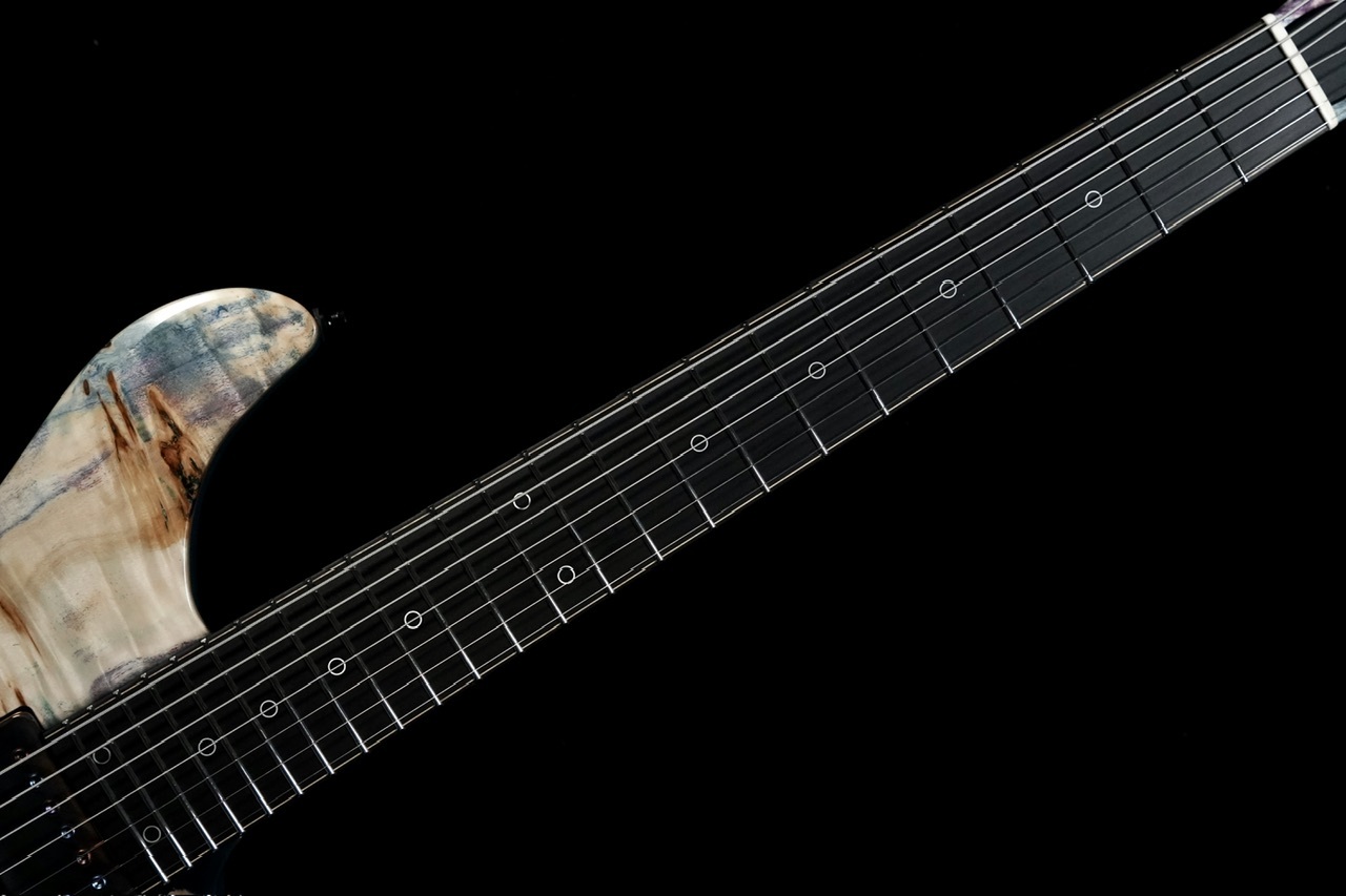 人気 商品 通販ホビー・楽器・アート - Altero Custom Guitars