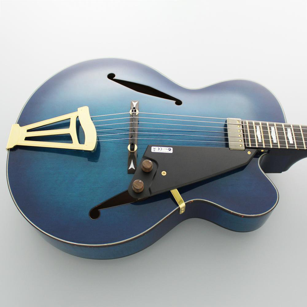 FUJIGEN(FGN) MFA-FP/BBT Masterfield MFA フルアコギター（新品/送料