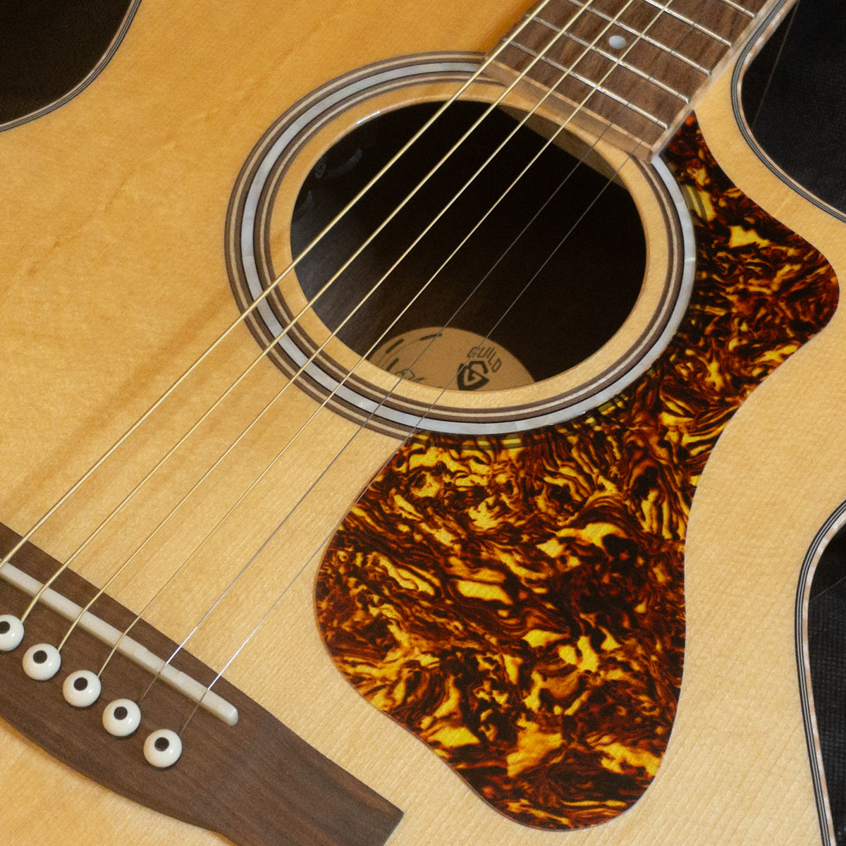 GUILD OM-250CE Reserve Archback NAT (Natural)（新品特価）【楽器