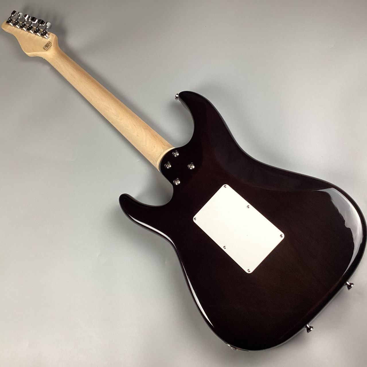 SCHECTER SD-2-24-AL/M Purple 【送料無料】【現物写真