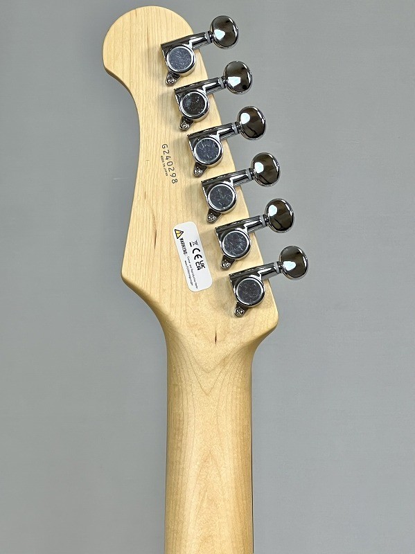 FUJIGEN(FGN) Basic Classic BCTE100RBD-3TS (3Tone Sunburst)（新品