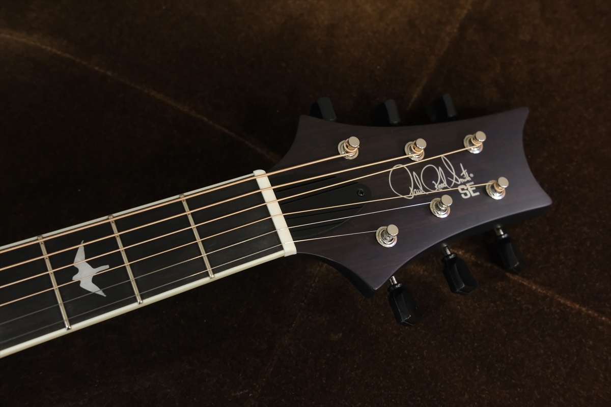 Paul Reed Smith SE アコースティックギター　p20 Paul Reed Smith(PRS) SE P20E Parlor with Fishman / Dog Hair