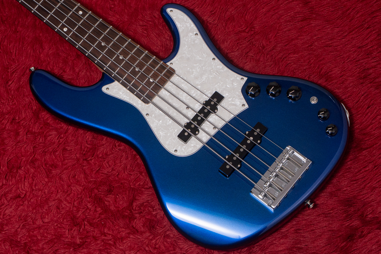 FREEDOM CUSTOM GUITAR RESEARCH C.S. Anthra 5st. Active FRK 2024