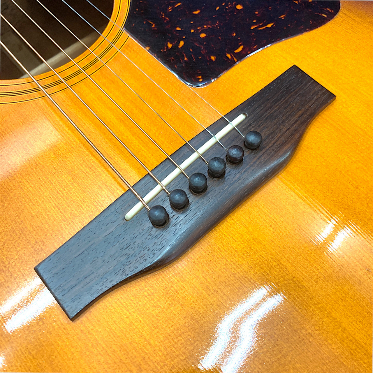 Burny BJ-50（中古）【楽器検索デジマート】