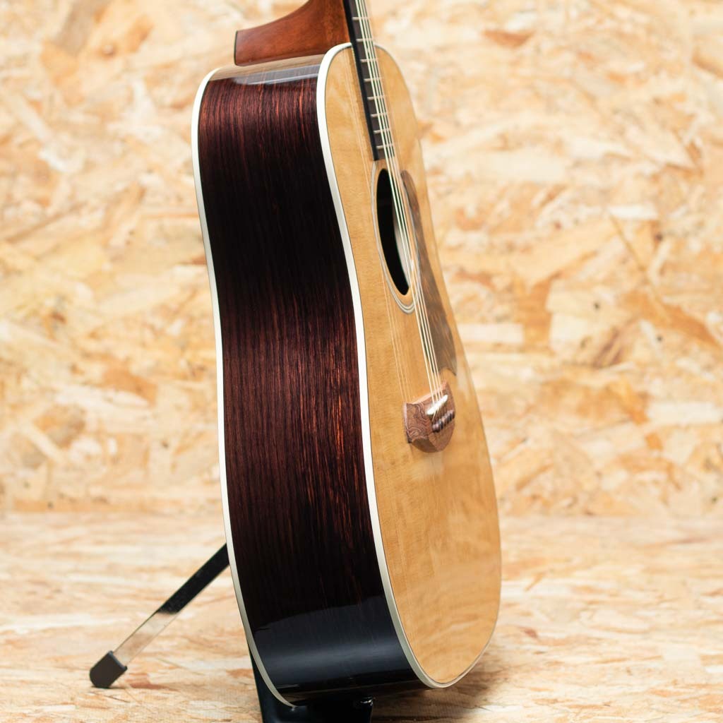 Taylor Gold Label 710e（新品）【楽器検索デジマート】