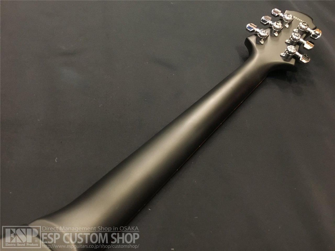 Zemaitis ZVWA22 BK Black（新品/送料無料）【楽器検索デジマート】