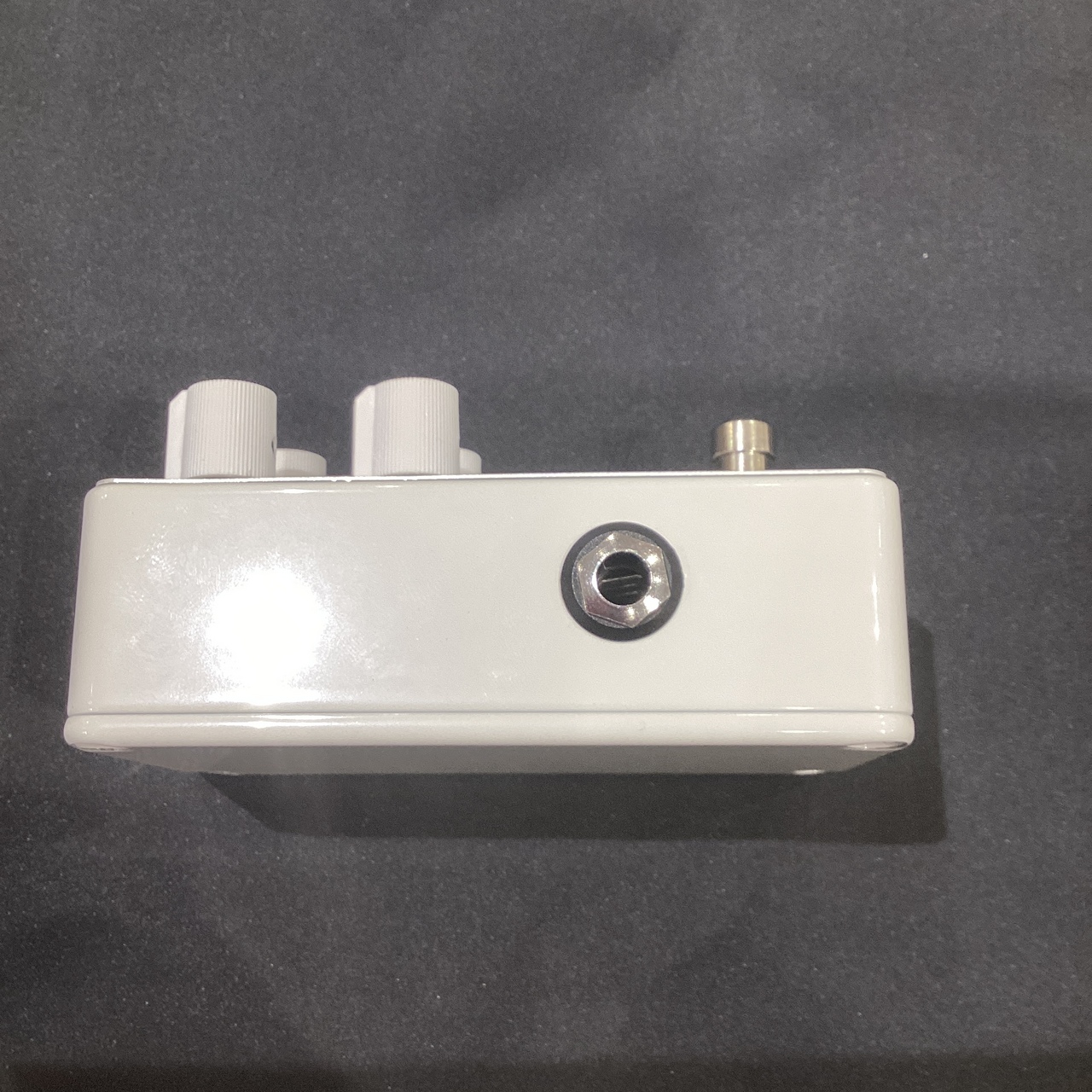 Limetone Audio (ライムトーンオーディオ)buddy ディレイ（新品