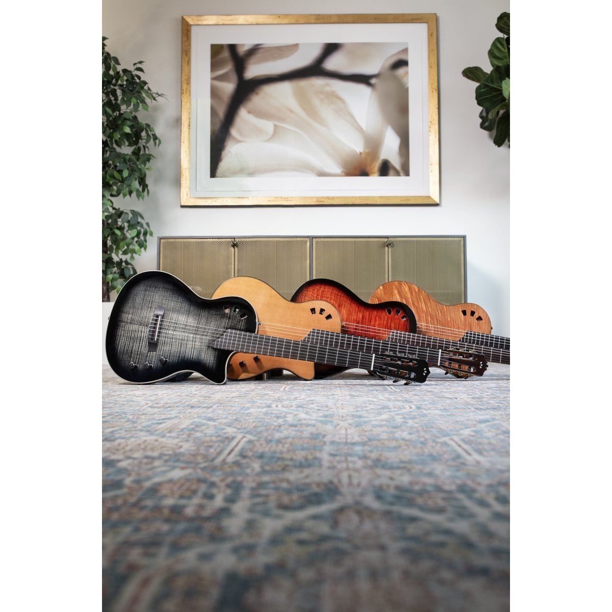 Cordoba Stage Traditional Ceder エレガット [2024年新商品]コルドバ