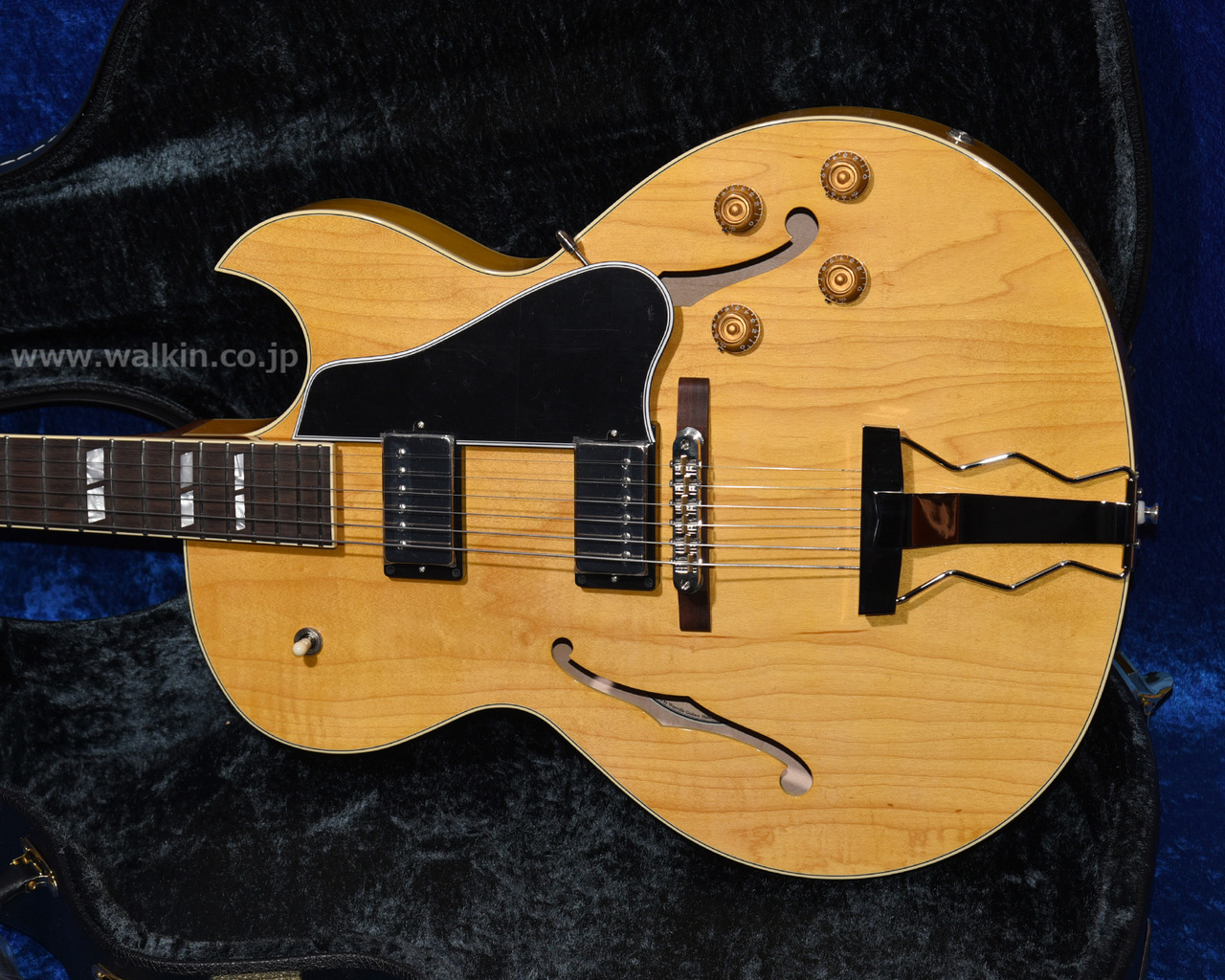 Archtop Tribute AT205MD（新品）【楽器検索デジマート】