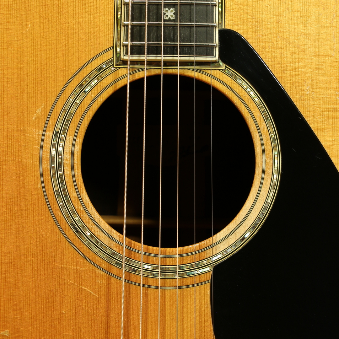 YAMAHA L-55 Jacaranda 1980（中古）【楽器検索デジマート】