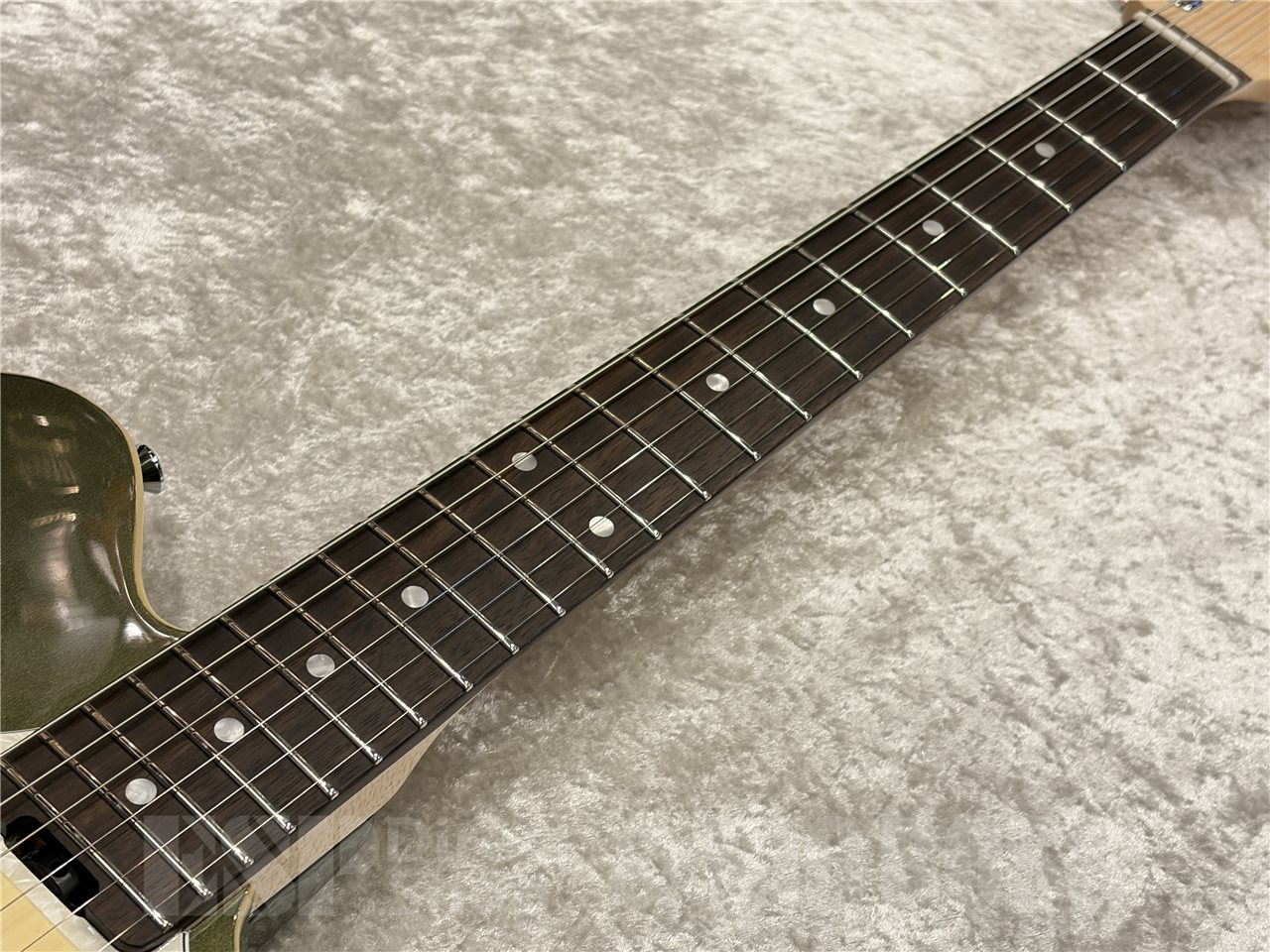 EDWARDS E-THROBBER-CTM【Leaf Green Metallic】（新品/送料無料