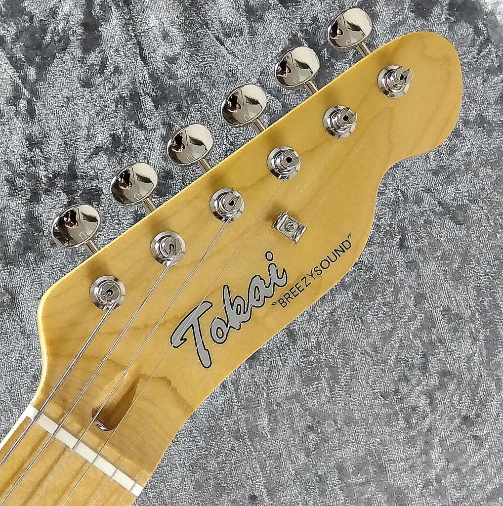 【入手困難】AIRLINE TWIN TONE TYPE エレキギター apollon_301-eastwood-twintone