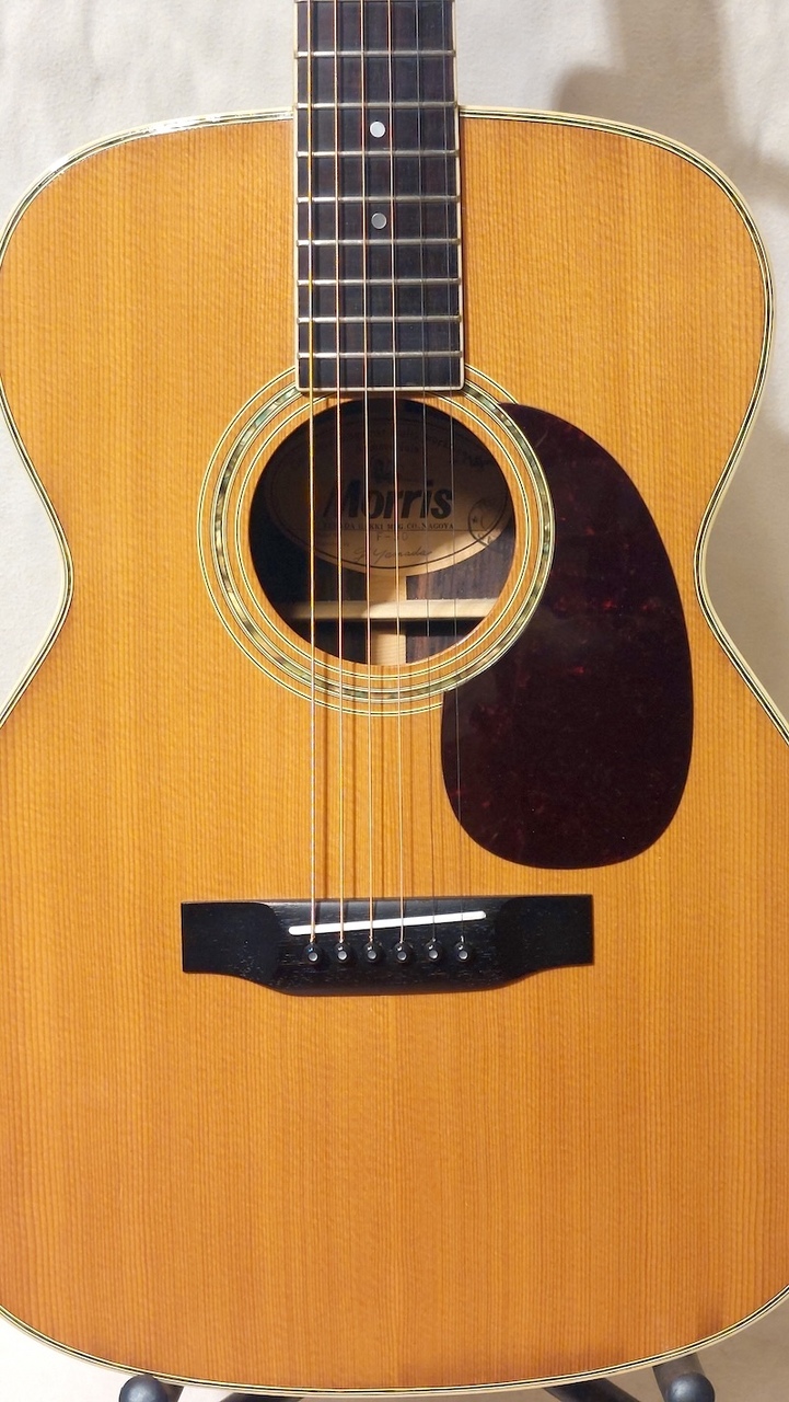 ギター Morris F-30 Morris F-30（中古）【楽器検索デジマート】