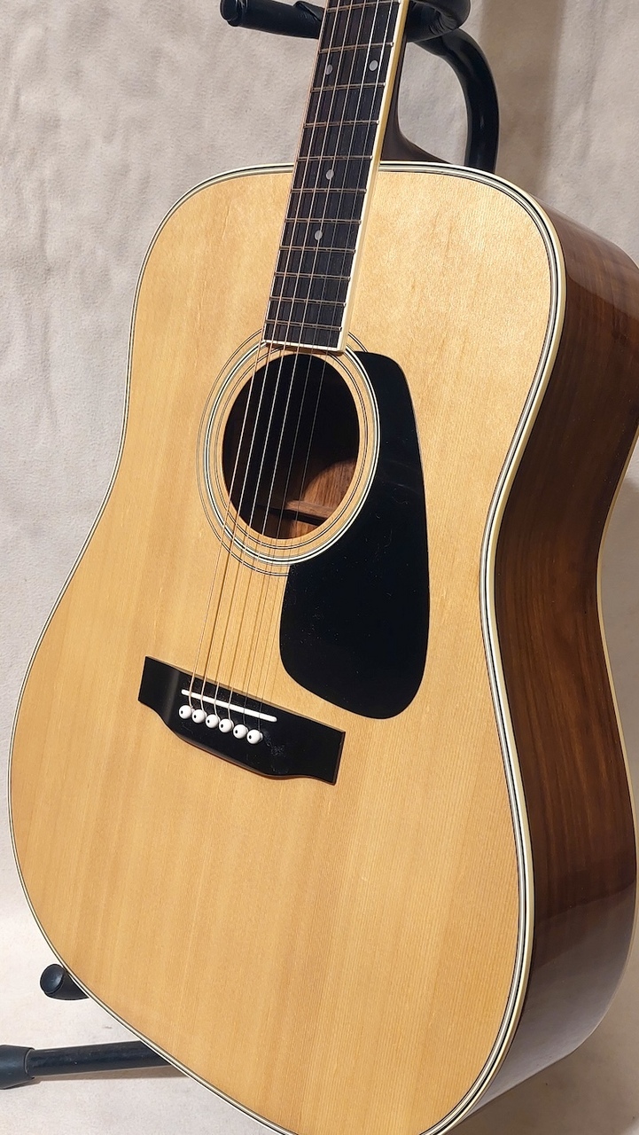 手渡し用　MORRIS MD-505 1981～83日本製 極美品 手渡し用 MORRIS MD-505 1981～83日本製 極美品 手渡し用 MORRIS MD