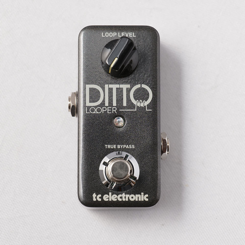 tc electronic DITTO LOOPER【中古】【USED】（中古）【楽器検索 ...