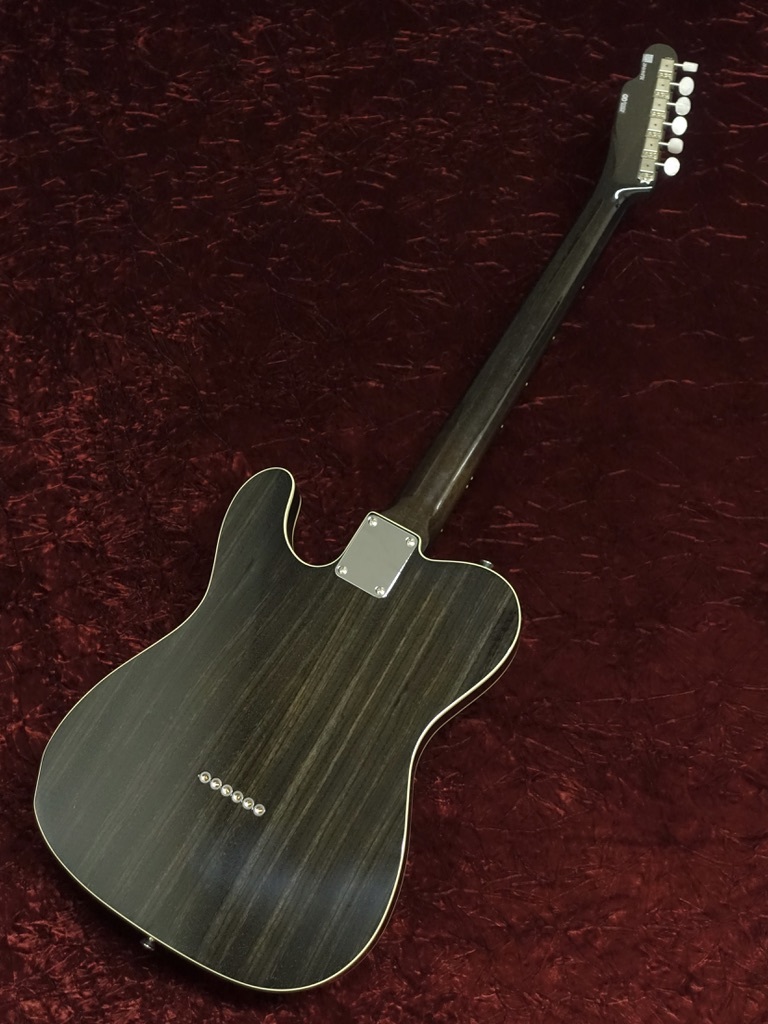 Freedom Custom Guitar Research TEセット Freedom Custom Guitar Research C.S. Retro Series TE-TL Semi