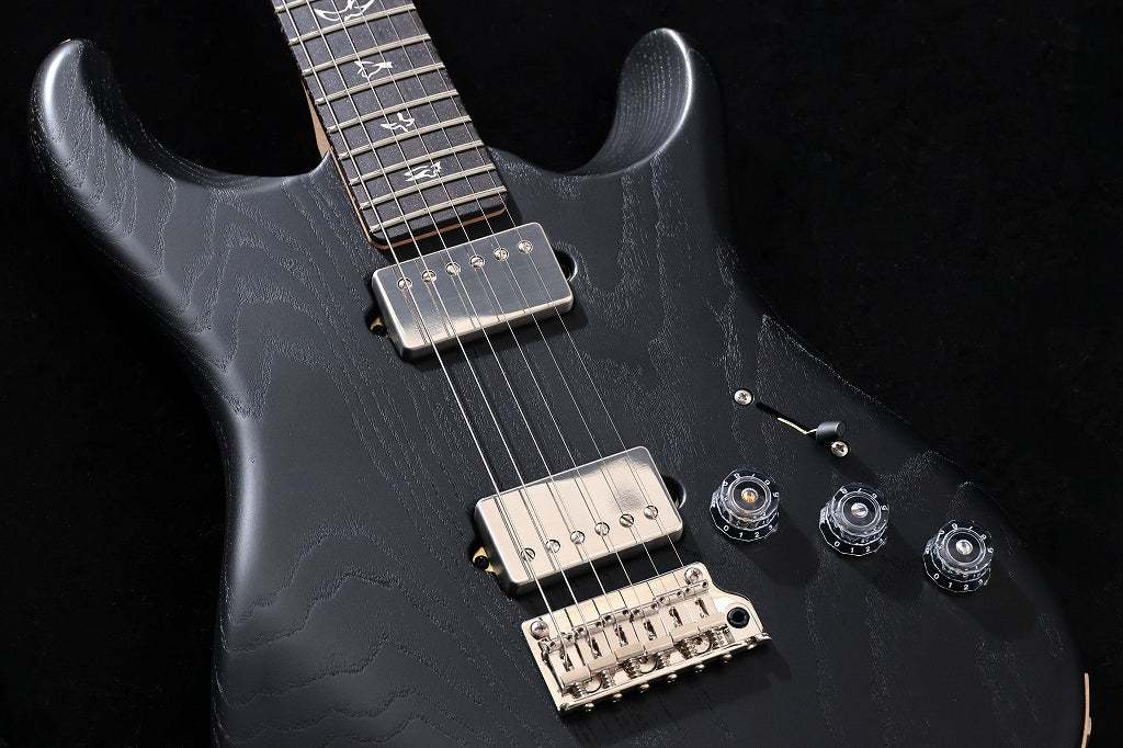 Paul Reed Smith(PRS) 2026 Mark Lettieri Signature Fiore HH Satin