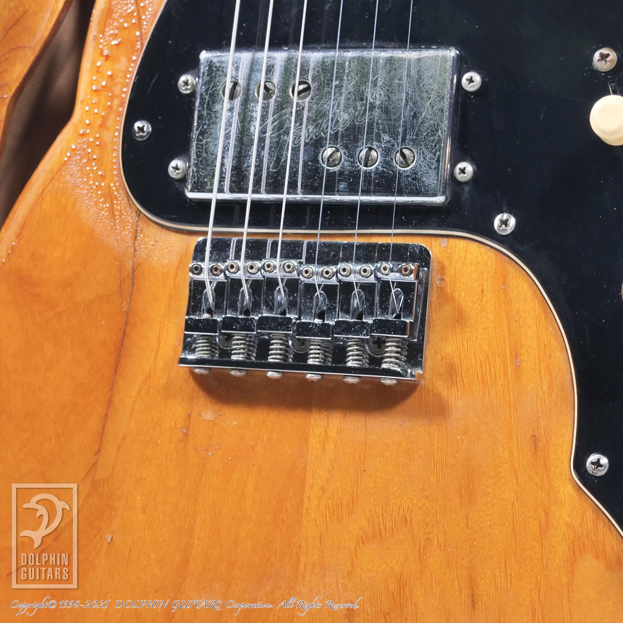 Fender Telecaster Thinline（ビンテージ）【楽器検索デジマート】