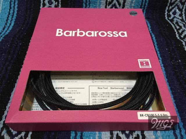 Barbarossa Wizard BR-CB100 5mSS＋２本-