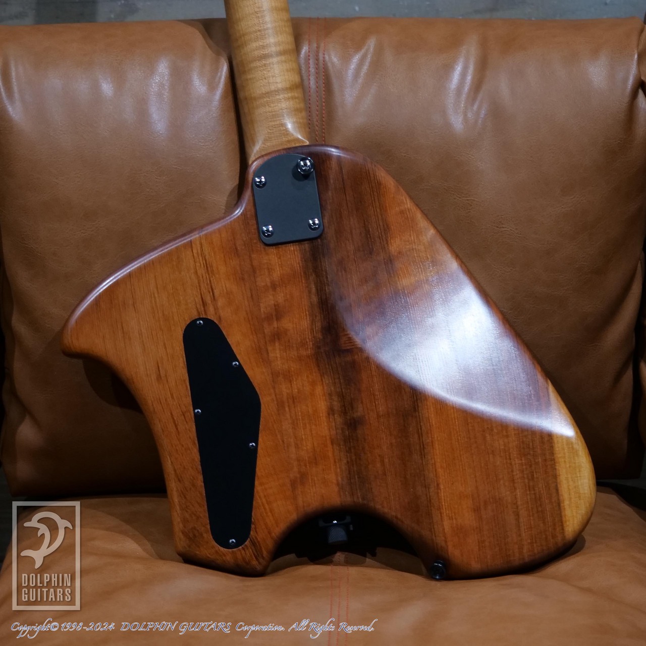 Steve Klein sTele Headless (Redwood Body Torrefied Flamed  Neck)（新品）【楽器検索デジマート】