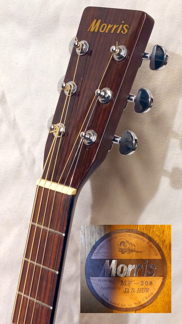 Morris MF-208（中古）【楽器検索デジマート】